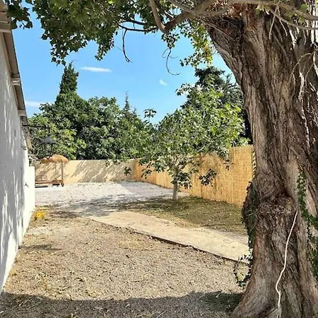 La Guinguette Sous Les Muriers Perpinhã